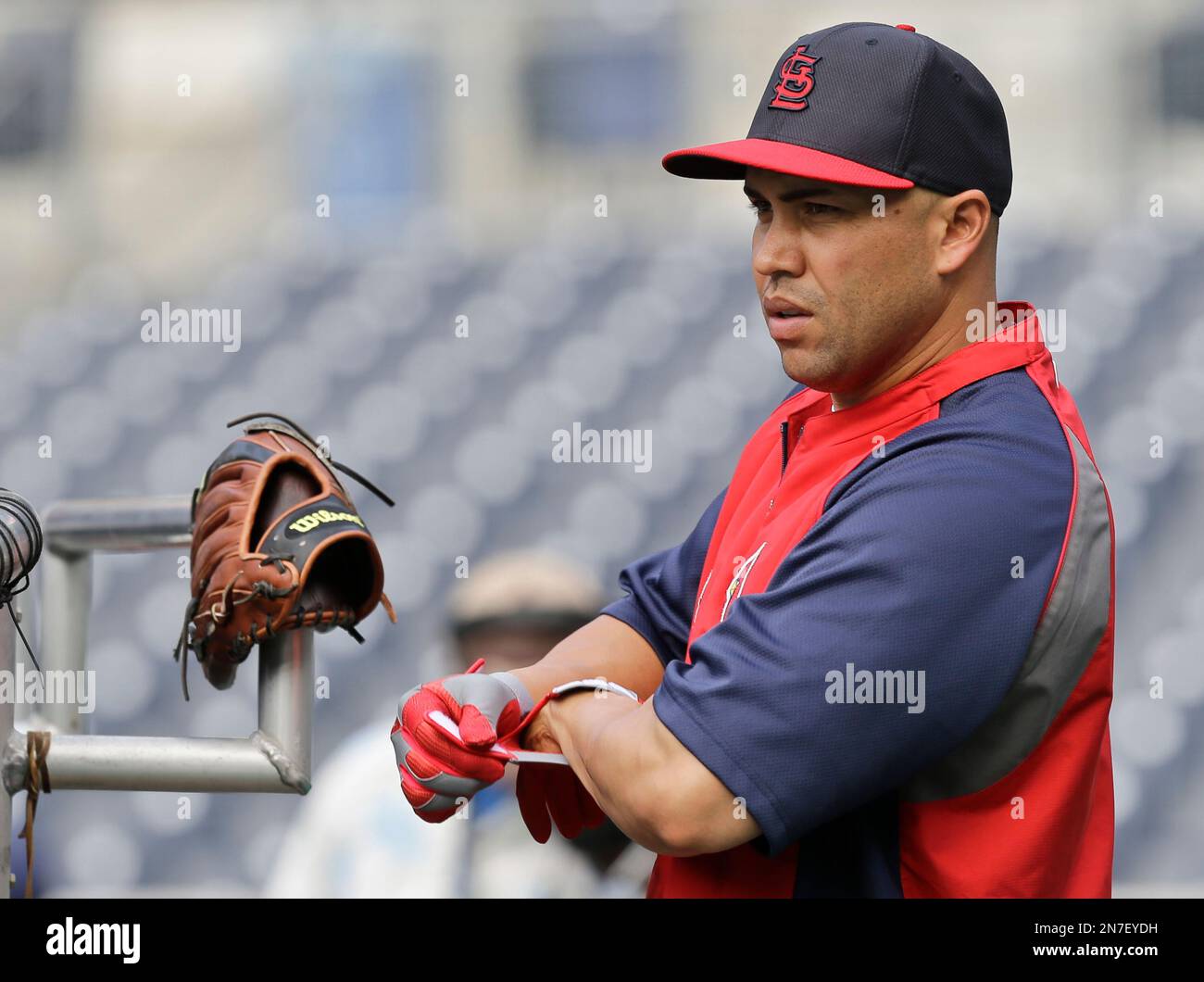 St. Louis Cardinals' Carlos Beltran straps on his batting gloves