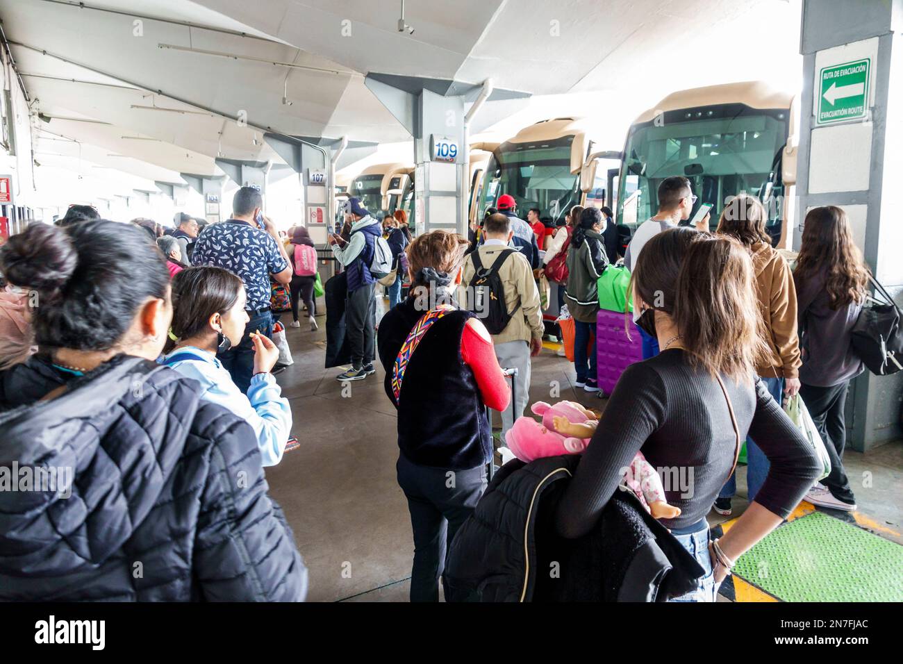Mexico City,Central de Autobuses del Norte,Northern Bus Station,passengers riders,boarding area,bus line motorcoach motorcoaches service company,man m Stock Photo
