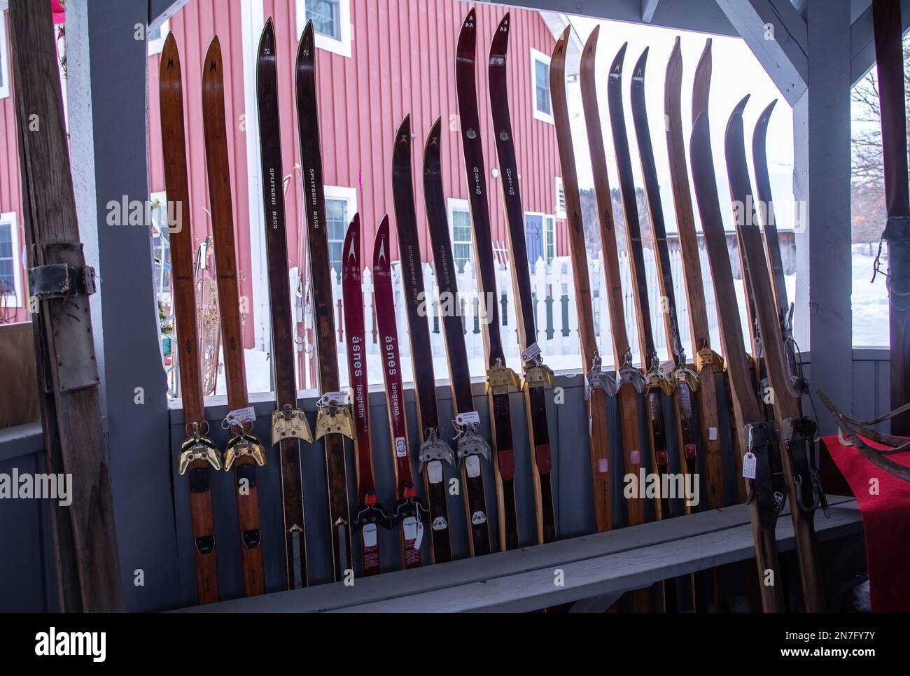 Collection of vintage skis on display at the 18th Annual Vinterfest held at the Gammelgarden Museum in Scandia, Minnesota USA. Stock Photo