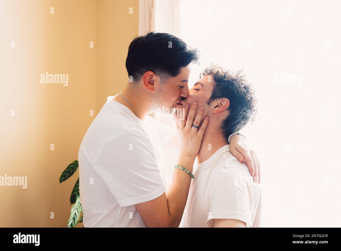 Gay couple romantically kissing on the mouth, in the living room. LGBT relationship and routine. Stock Photo