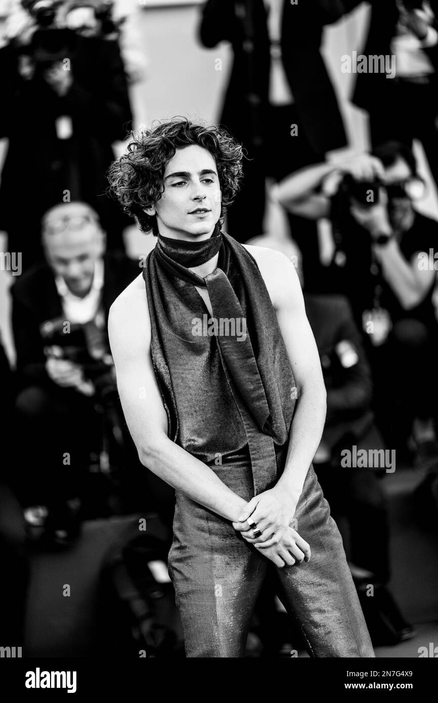 Il cast di "Bones and All" sul red carpet di Venezia 79, La Biennale di