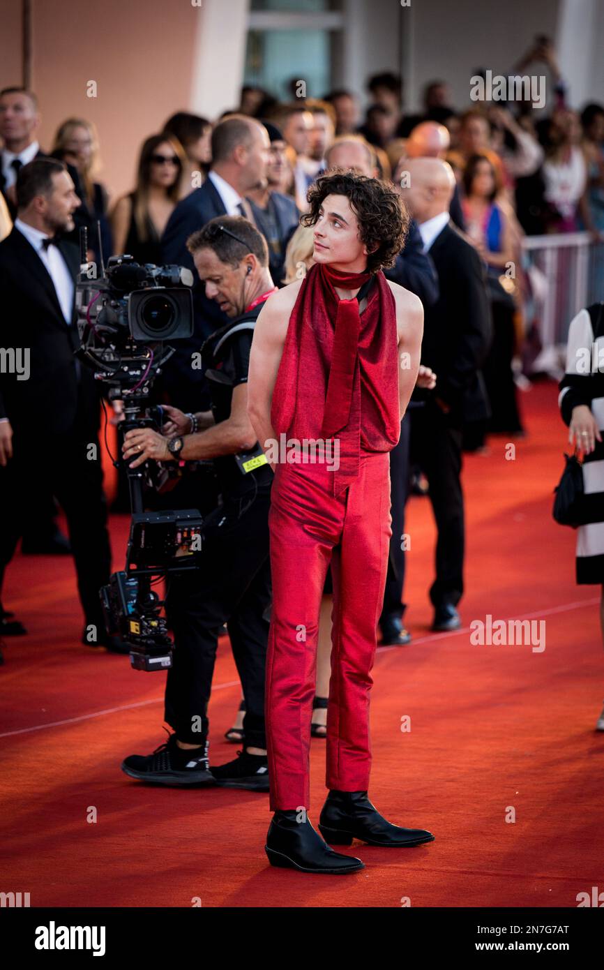 Il cast di 'Bones and All' sul red carpet di Venezia 79, La Biennale di Venezia 2022, Venezia, Italia Stock Photo