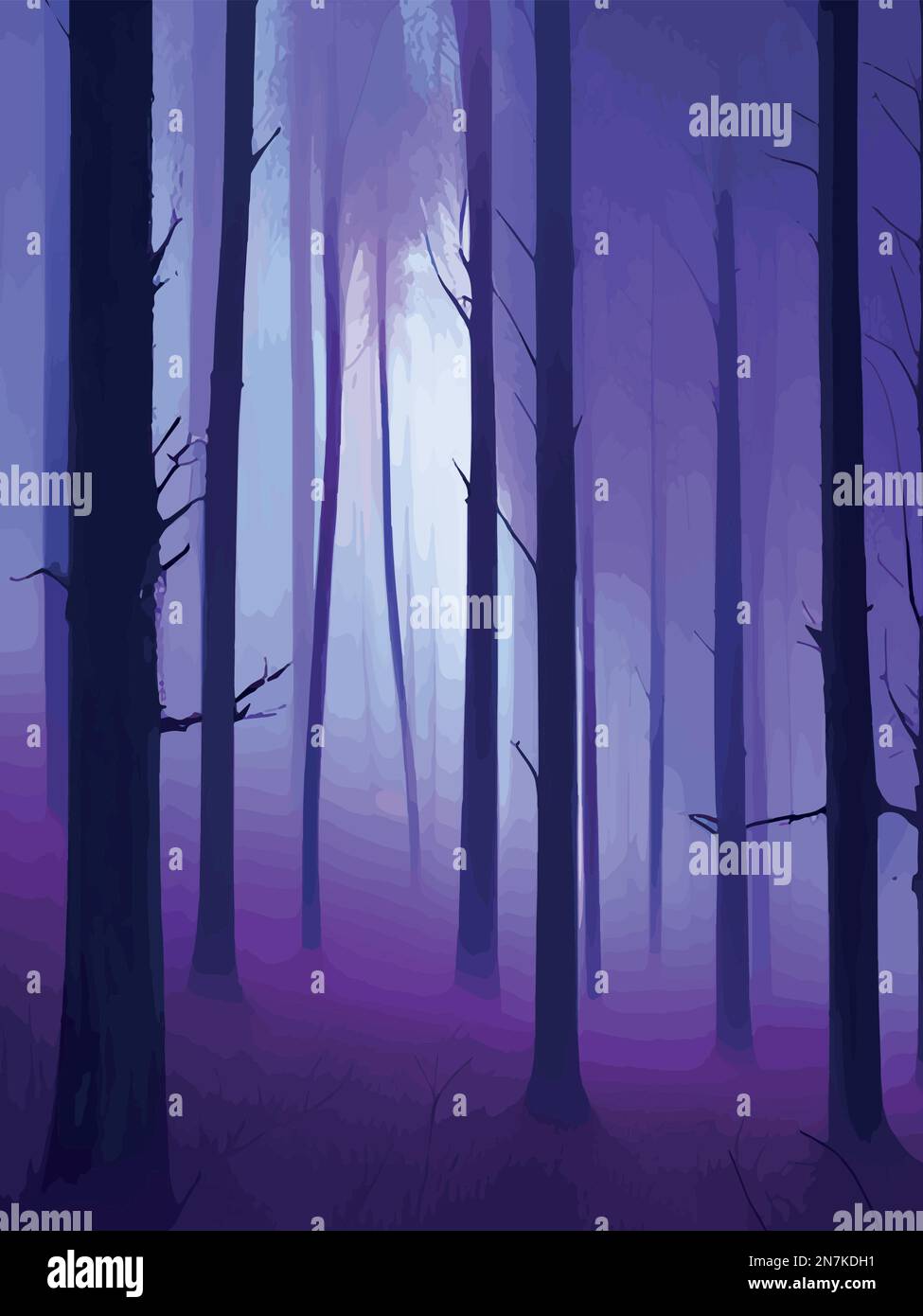Illustration Deep Dark Forest Landscape