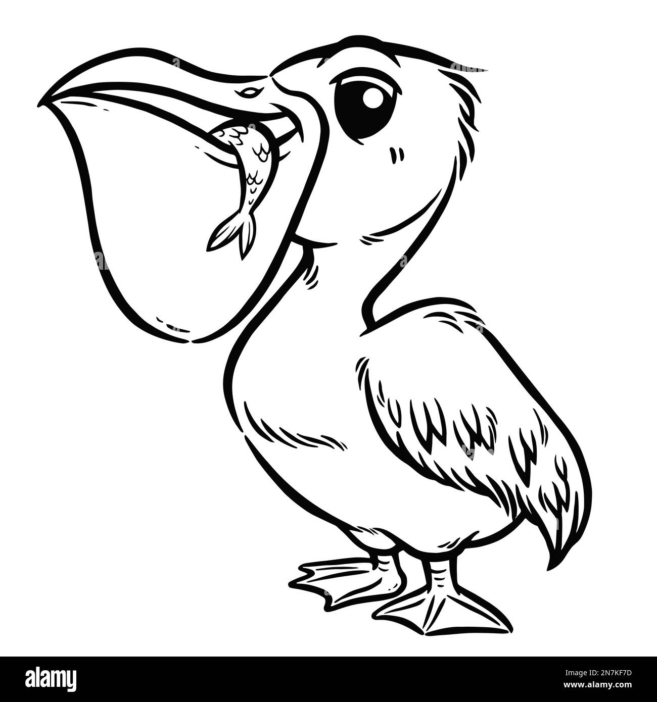 Vector illustration of Cartoon pelican - Coloring book for kids Stock Vector