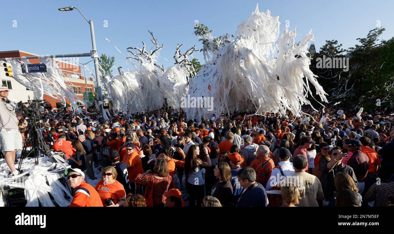 Fans roll the poisoned oak trees at Toomer's Corner one final time ...