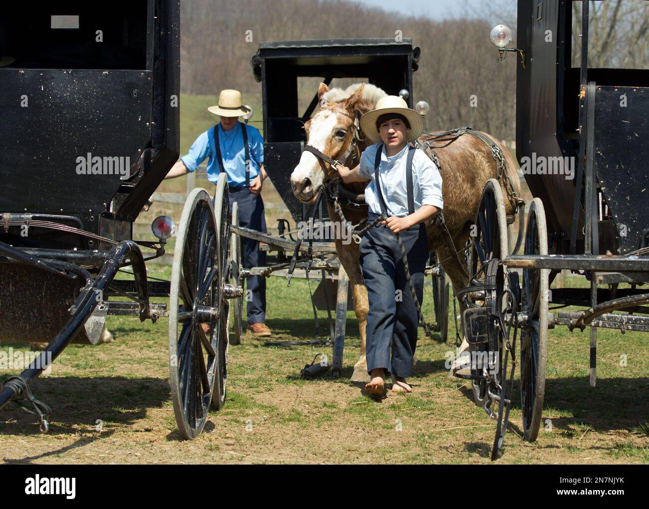 An Amish boy leads a horse to the barn in Bergholz, Ohio on April 9, 2013. (AP Photo/Scott R