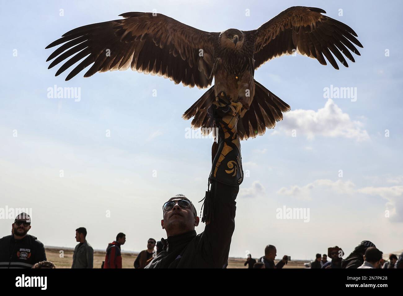 Borg El Arab, Egypt. 10th Feb, 2023. A falconer holds up a golden eagle during Horus race for birds of prey, organized by Egypt Falconers Club in the desert of Borg al-Arab near Alexandria. The race is named after the ancient Egyptian falcon-headed god 'Horus' and brings falconers from across Egypt to show their raptor's skills in hunting and flight speed. Credit: Gehad Hamdy/dpa/Alamy Live News Stock Photo