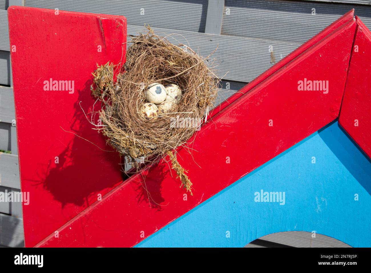 little egg nest in children cabin playground Stock Photo Alamy