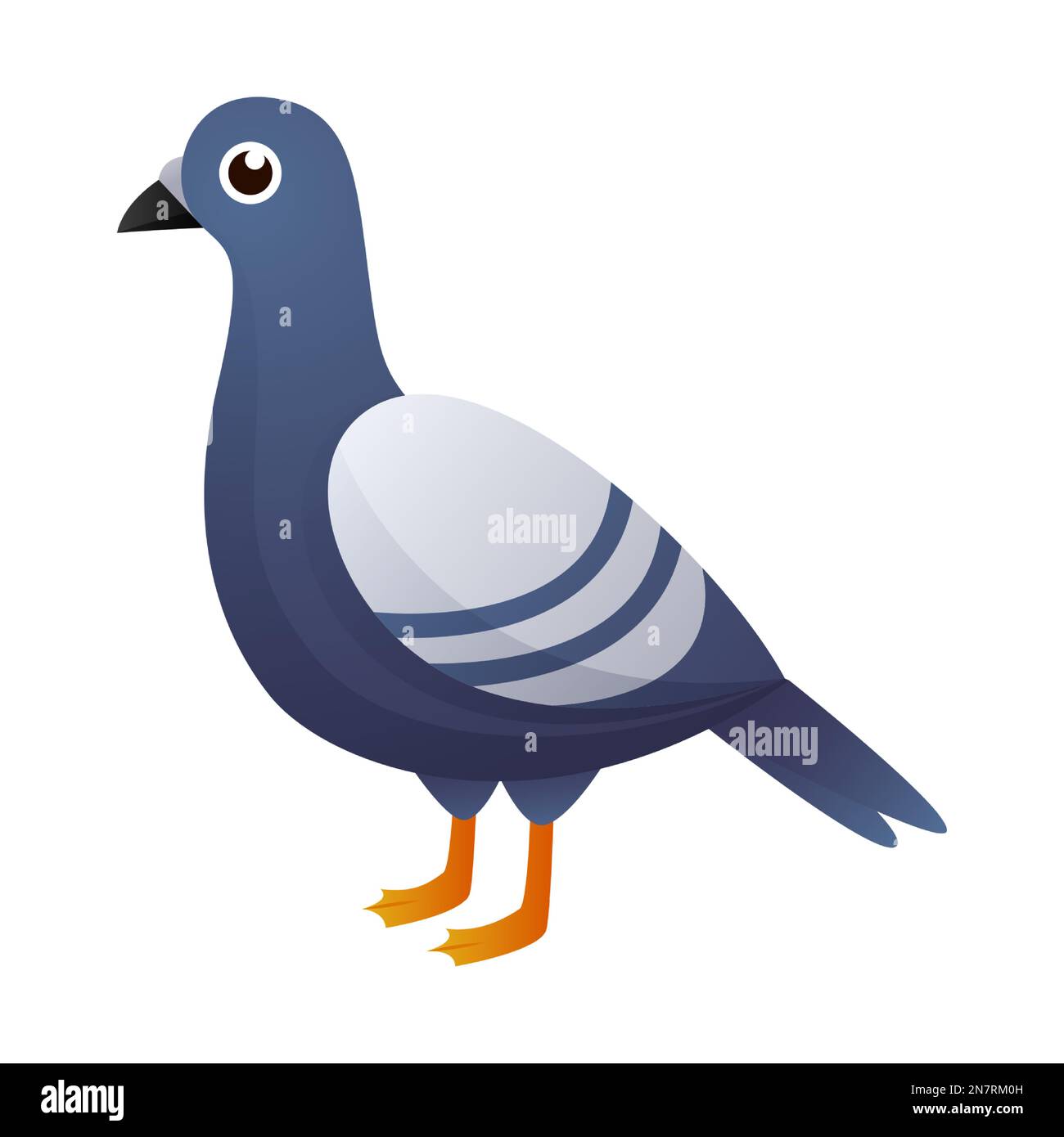 Bird child pigeon Stock Vector Images - Alamy