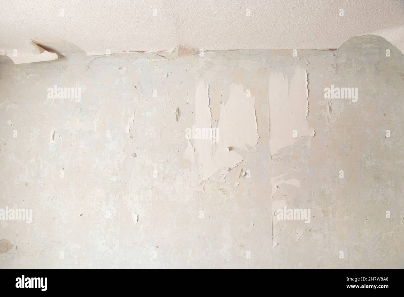 removing old paper wallpaper from the wall in a room of a residential