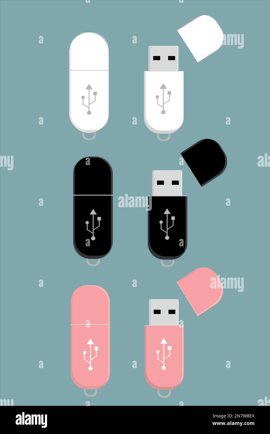 a set of usb flash drives white black and pink Stock Vector