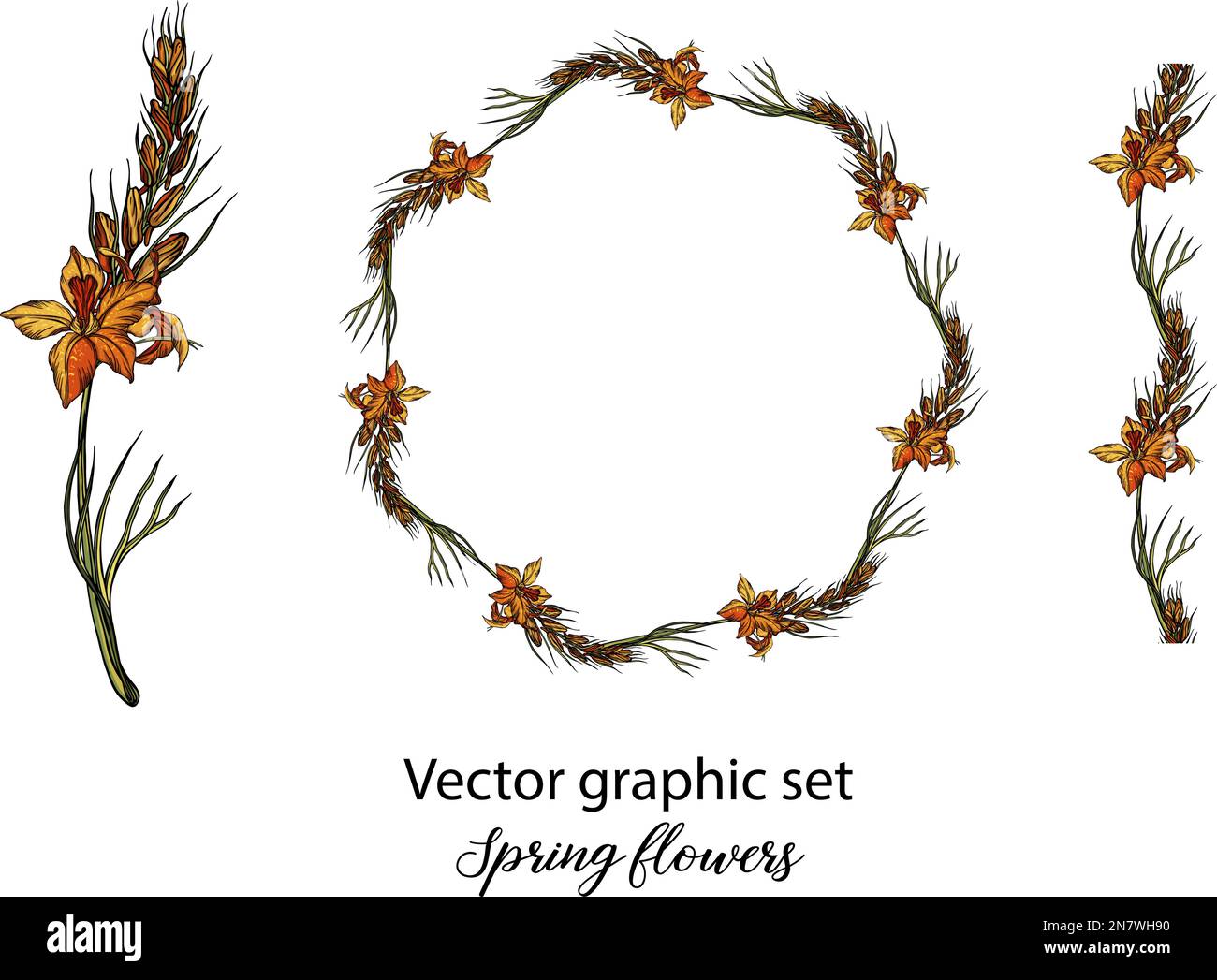 Vector flowers, buds. Botanical illustration. Spring flowers, romantic ...