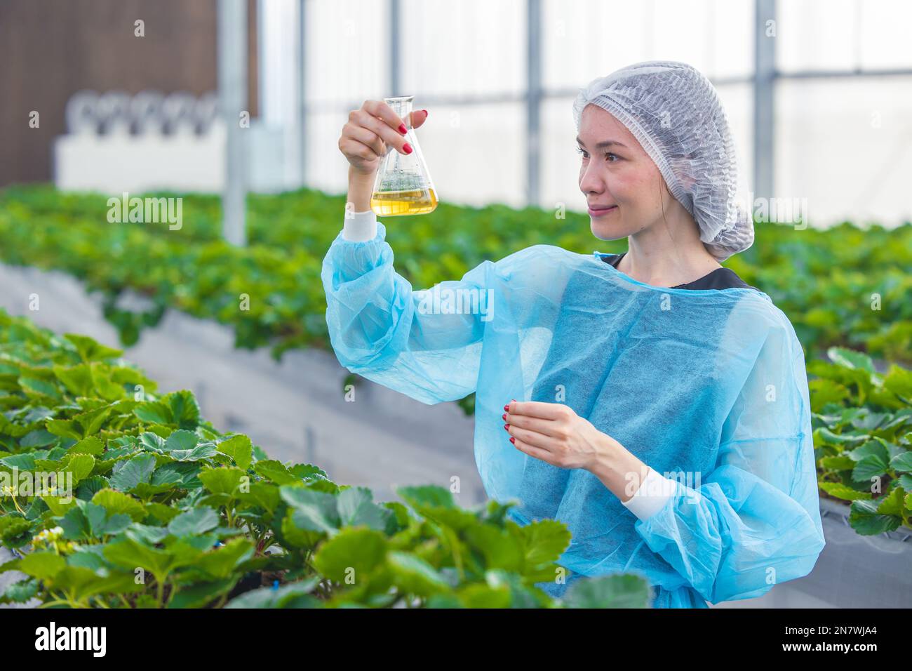 scientist working in organic agriculture farm research new chemical formula extract from plant for medical concept. Stock Photo