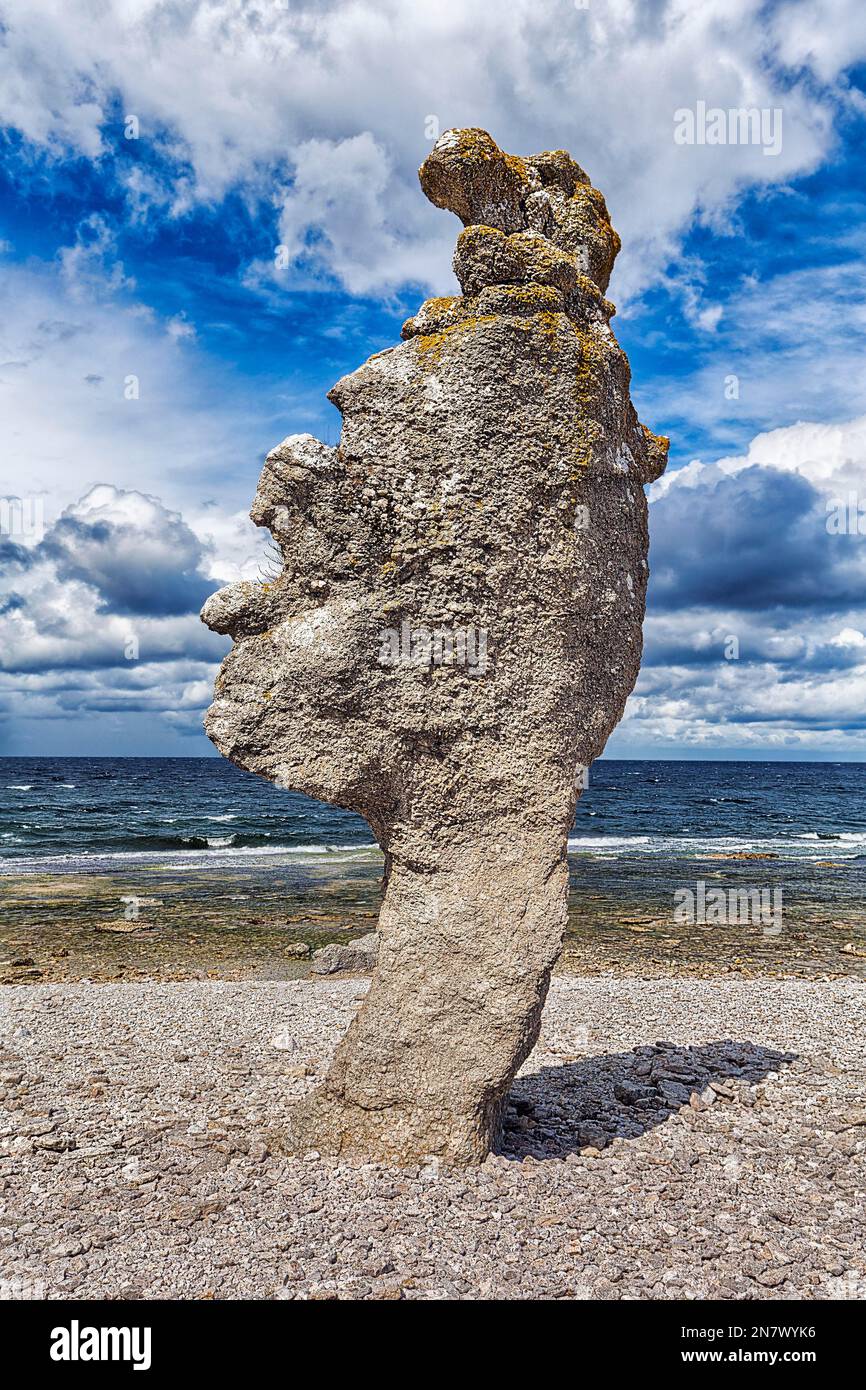 Bizarre rauke, Raukar, limestone column, rocks on pebble beach, erosion, Langhammars Nature Reserve, Faroe Island, Faroe, near Gotland, Sweden Stock Photo