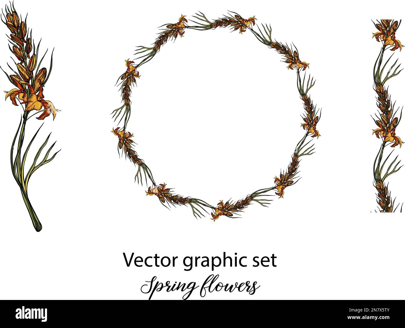 Vector flowers, buds. Botanical illustration. Spring flowers, romantic ...