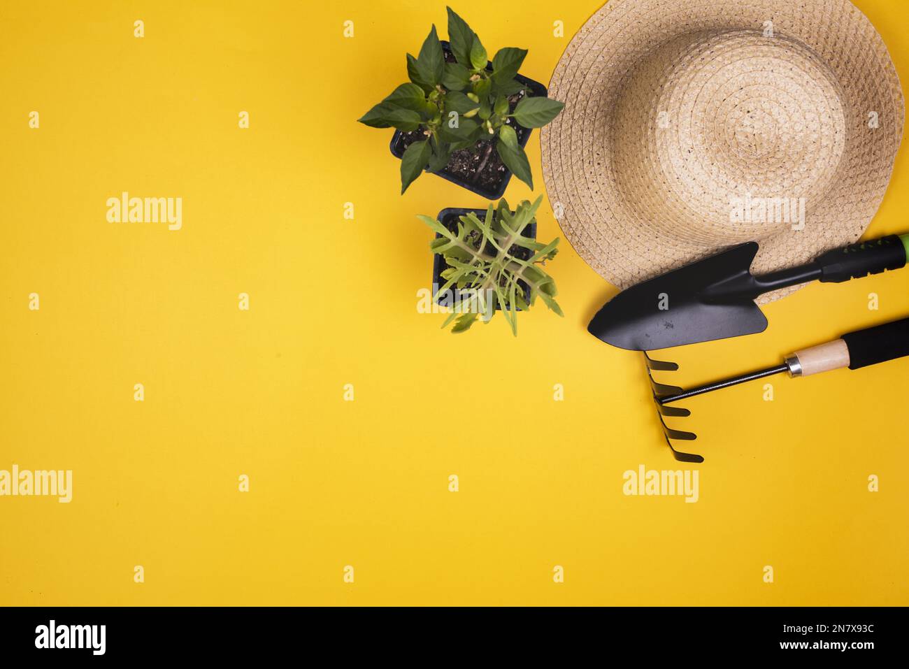 gardening tools with straw hat copy space Stock Photo