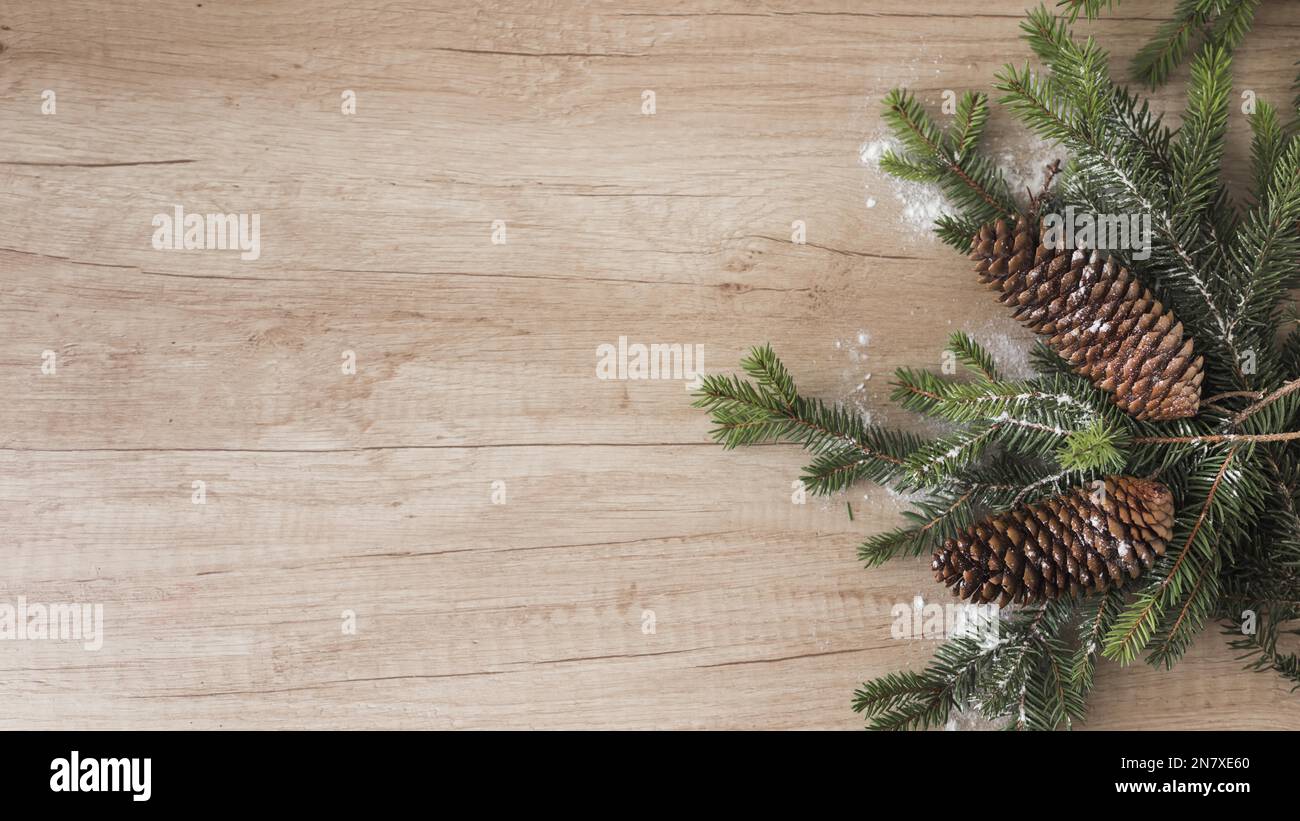 coniferous twigs snags and ornament snow Stock Photo