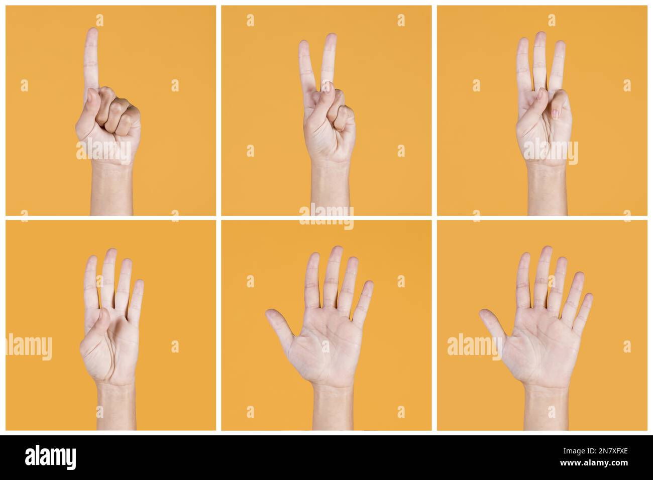 collage one five fingers count signs yellow backdrop Stock Photo Alamy