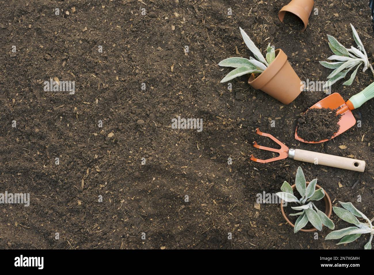 arranged tools gardening soil (1) Stock Photo