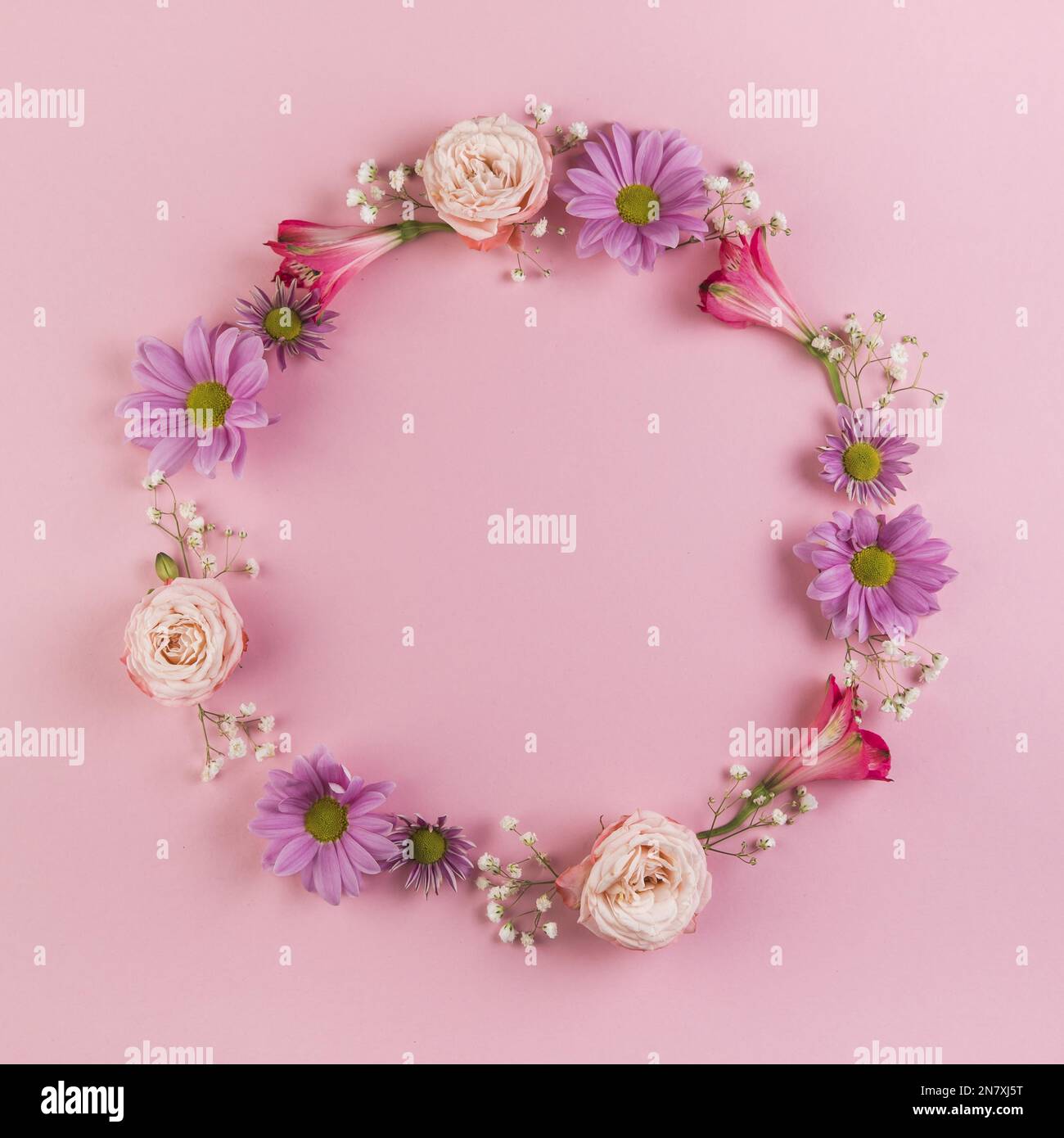 blank circular frame made with flowers pink background Stock Photo