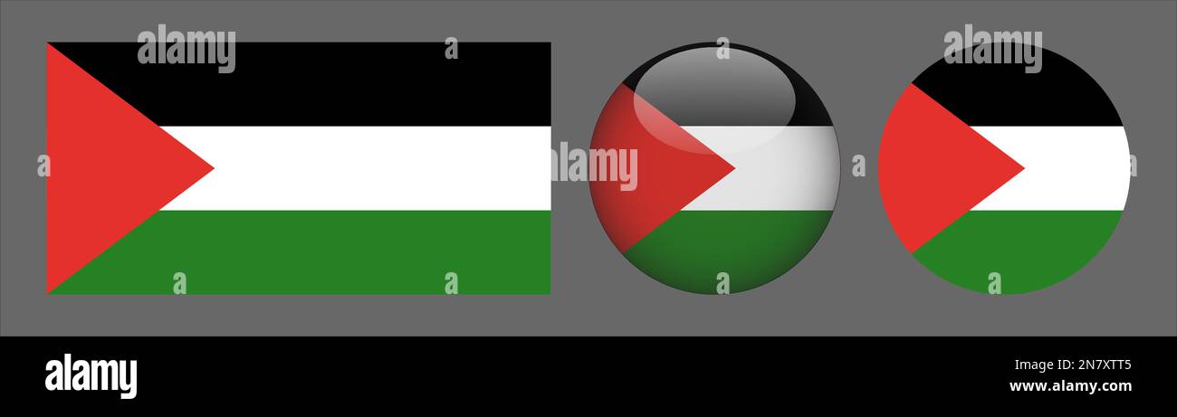 Palestine Flag set collection Vector Stock Vector