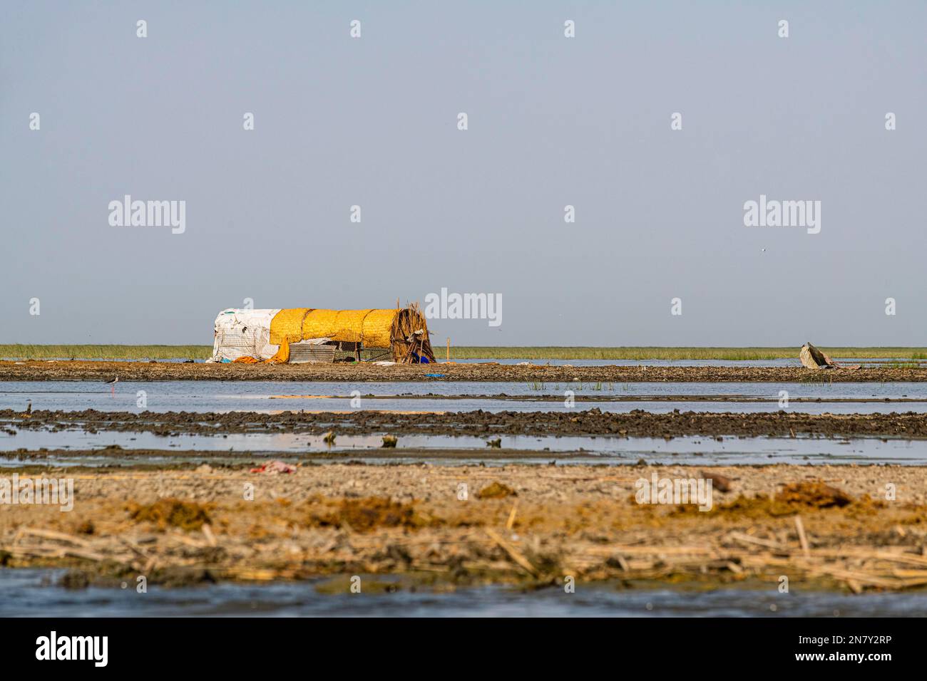 Traditional reed house, Mesopotamian Marshes, Ahwar of southern Iraq, Unesco site, Iraq Stock Photo