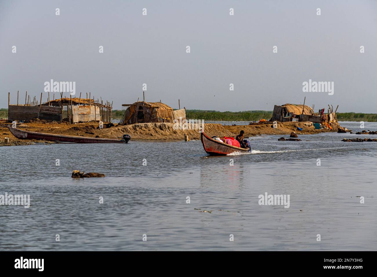 Reed house of Marsh Arabs, Mesopotamian Marshes, Ahwar of southern Iraq, Unesco site, Iraq Stock Photo
