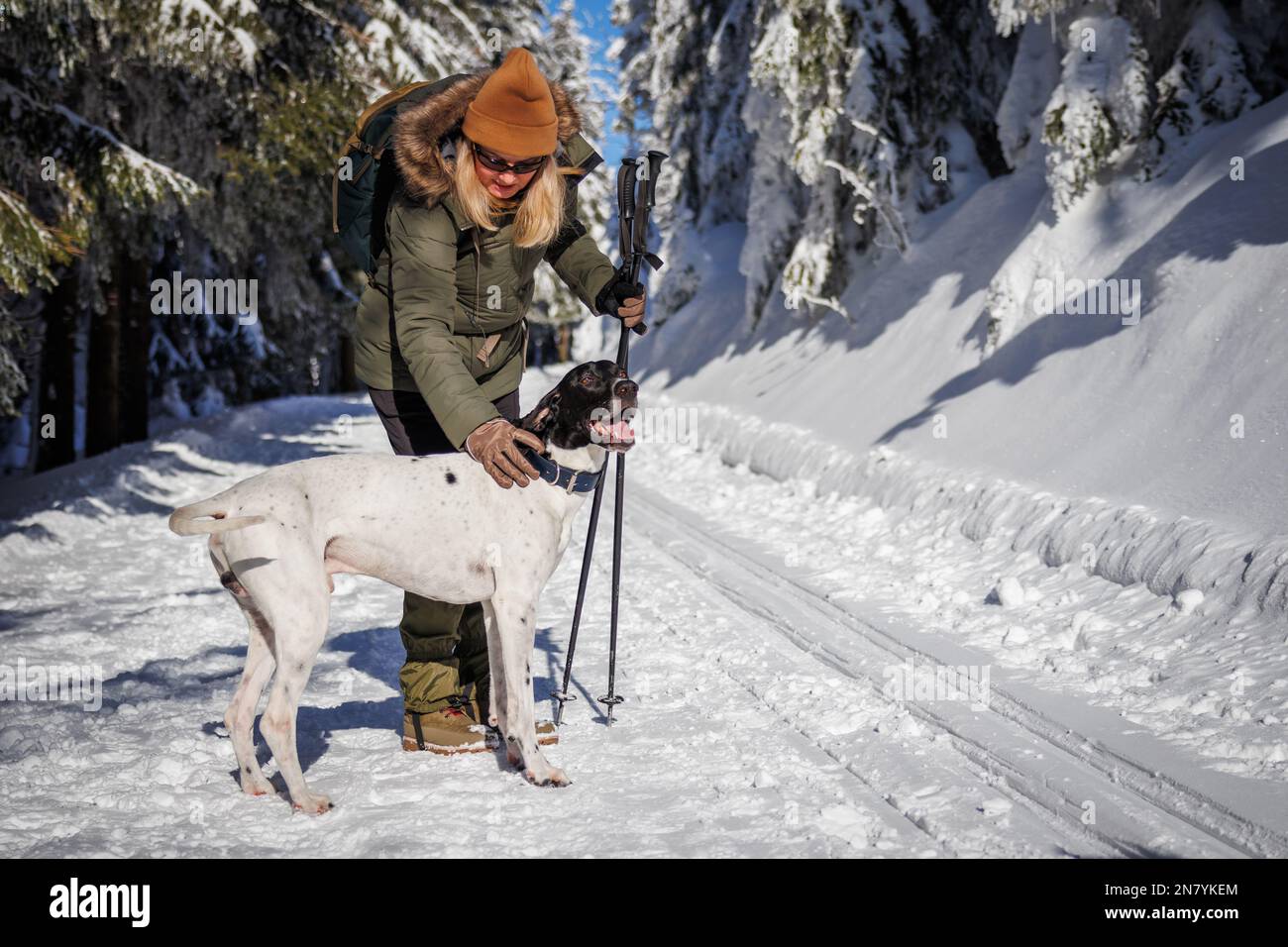 Woman with her dog hiking in winter forest. New breed European Sled Dog