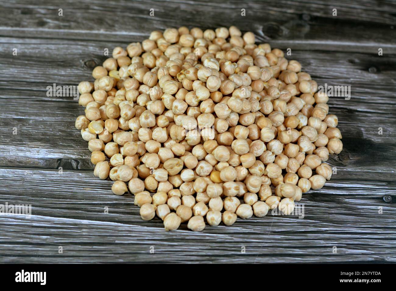 The chickpea or chick pea (Cicer arietinum),  an annual legume of the family Fabaceae, subfamily Faboideae, variously known as gram or Bengal gram or Stock Photo