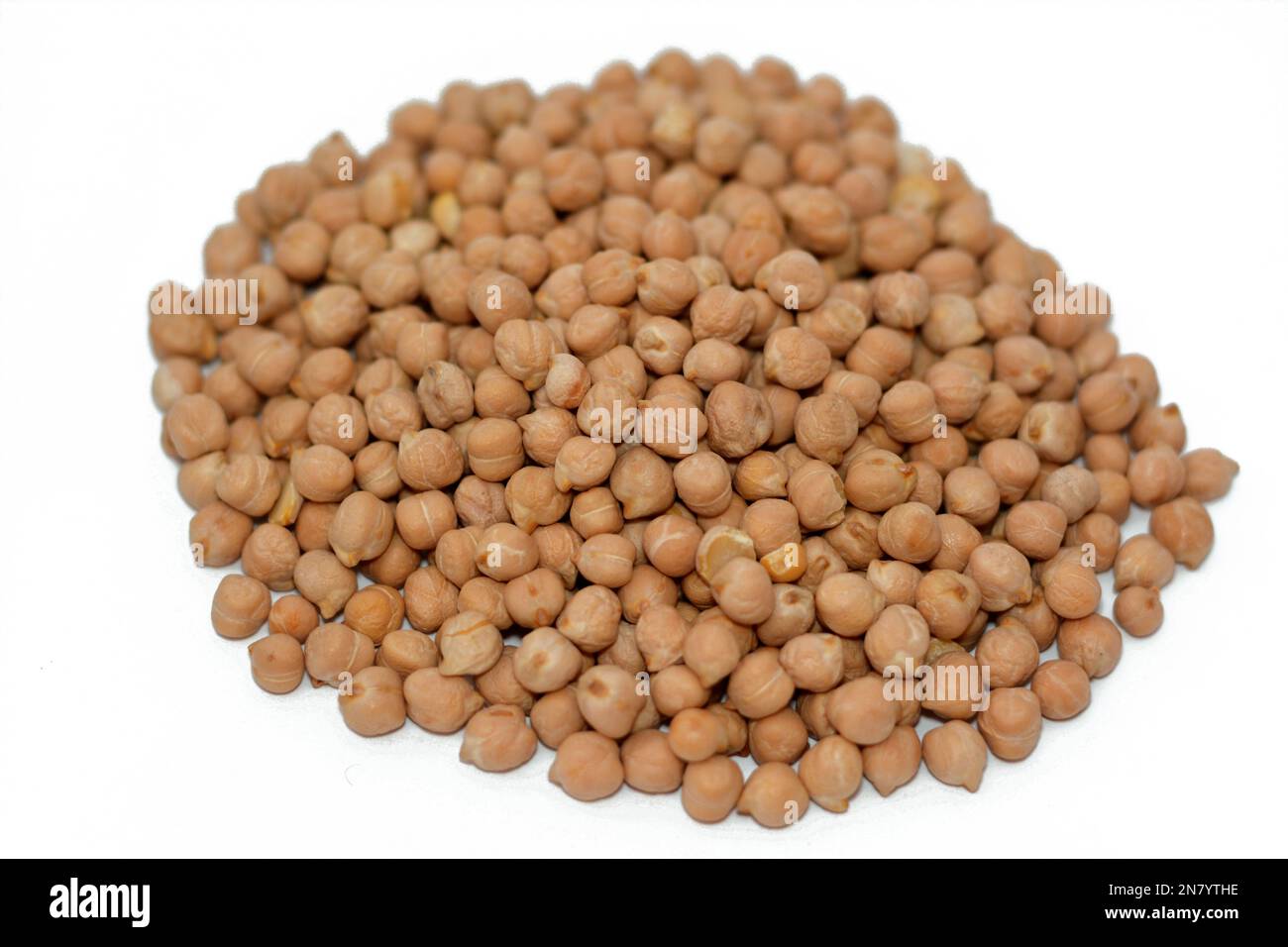 The chickpea or chick pea (Cicer arietinum),  an annual legume of the family Fabaceae, subfamily Faboideae, variously known as gram or Bengal gram or Stock Photo