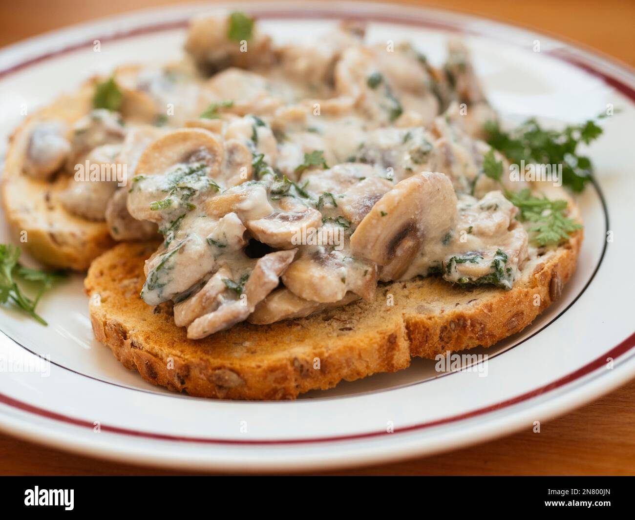 Vegan creamy Mushrooms on Toast with Chervil on a plate Stock Photo Alamy