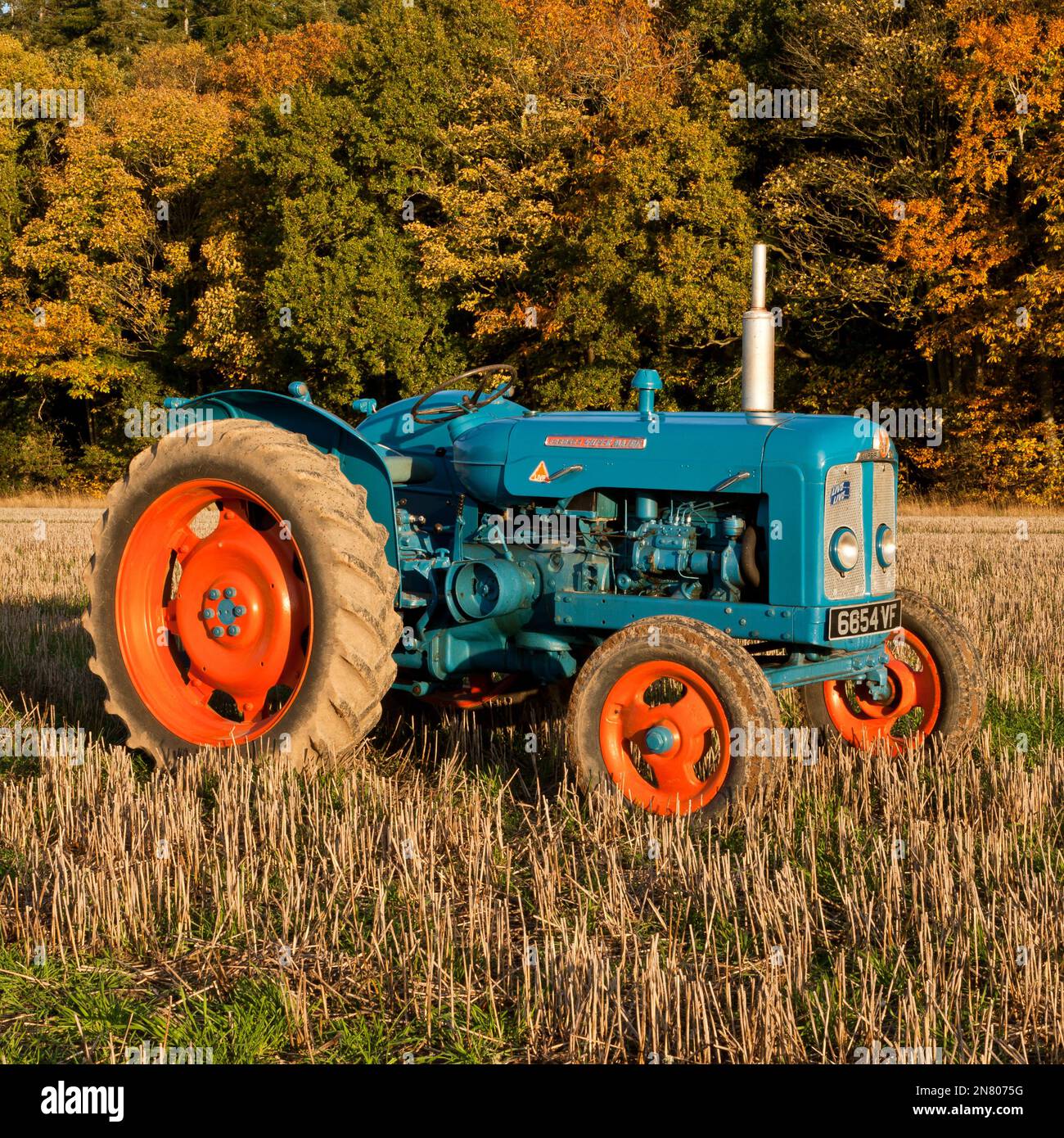 Fordson Super Major with Autumn coloured trees in the background Stock Photo