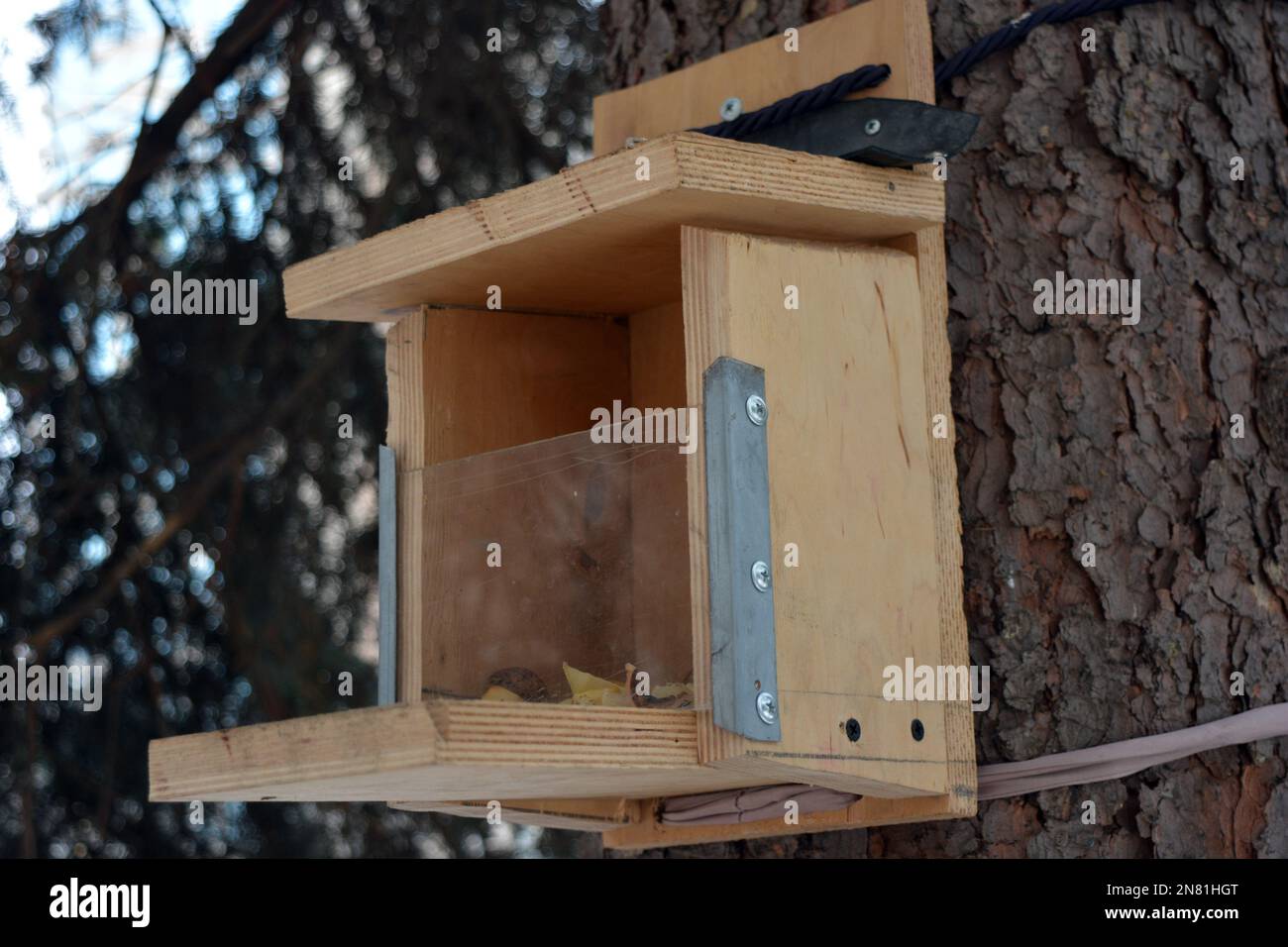 Stylish bird feeder hi-res stock photography and images - Alamy