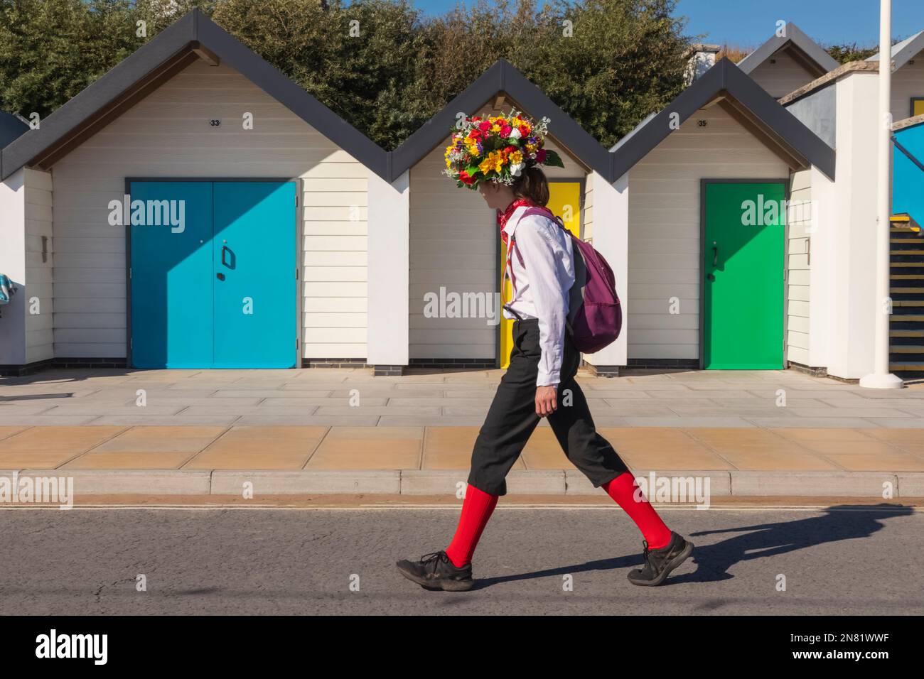 England, Dorset, Isle of Purbeck, Swanage, Swanage Folk Festival, Morris Dancer Walking in front of Colourful Beach Huts Stock Photo