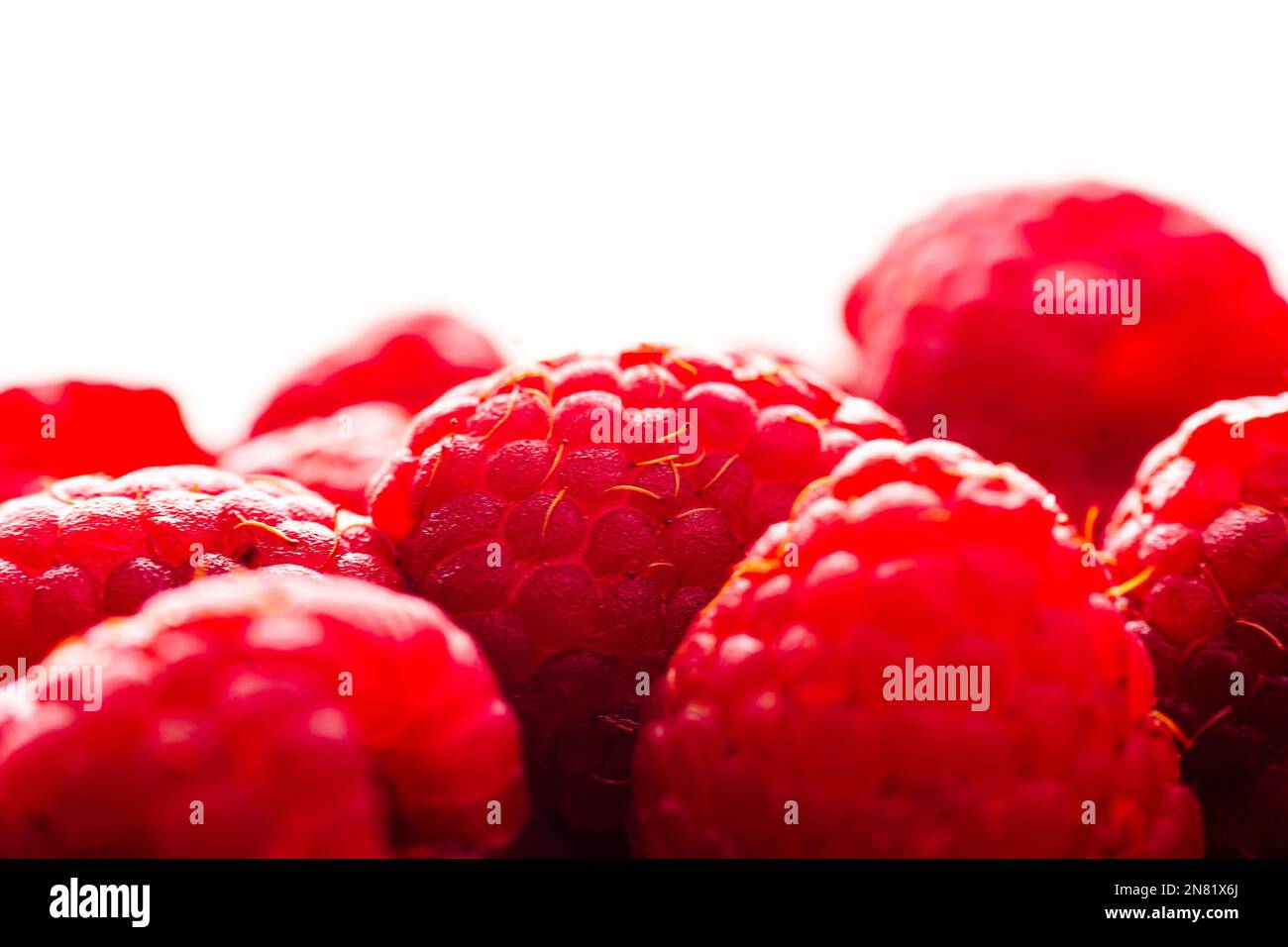 Horizontal Rasberries Close up of some isolated raspberries. Horizontal orientation, space ...