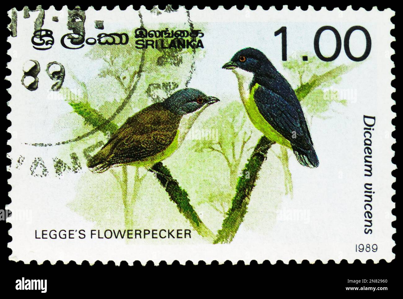 MOSCOW, RUSSIA - FEBRUARY 4, 2023: Postage stamp printed in Sri Lanka ...
