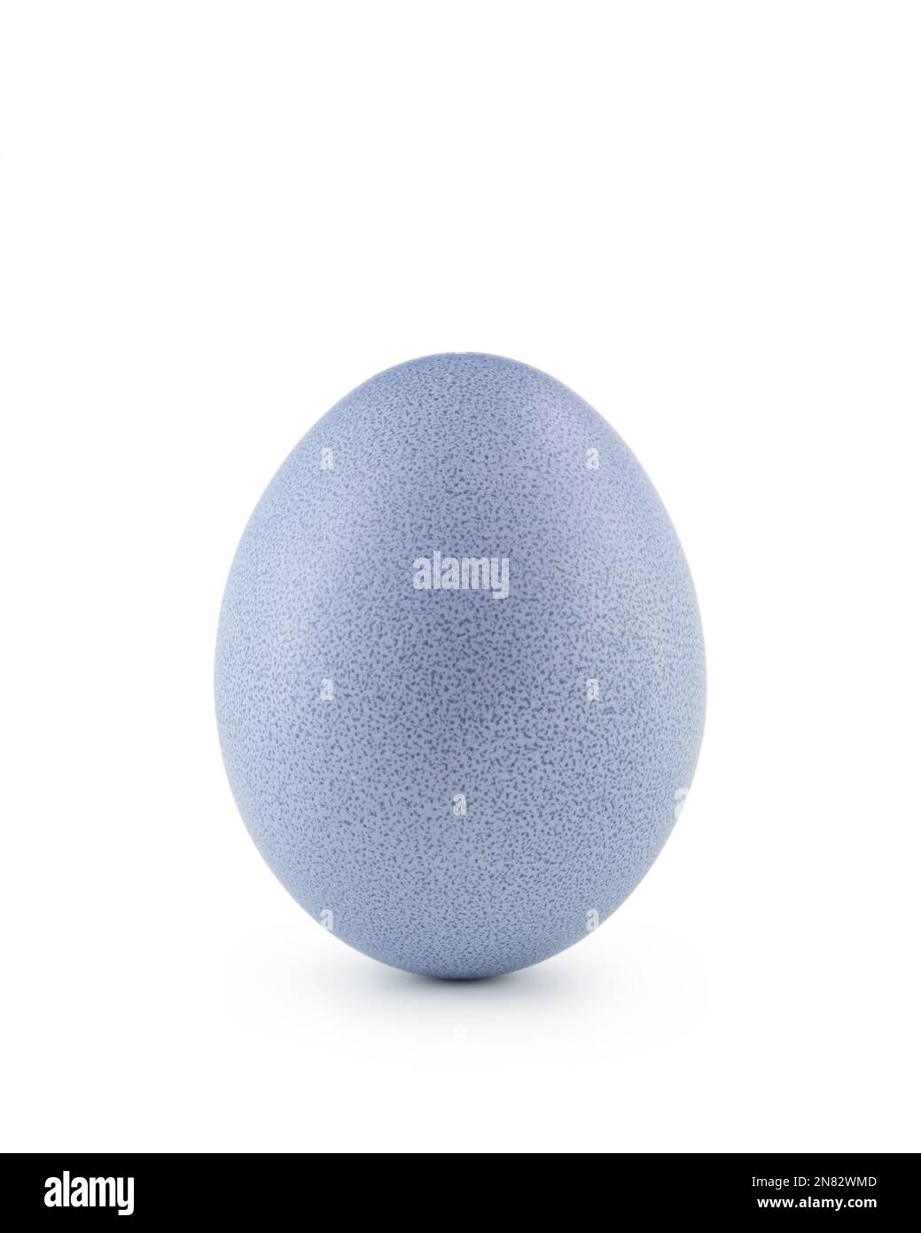 blue easter egg isolated on white background, with shadow Stock Photo ...
