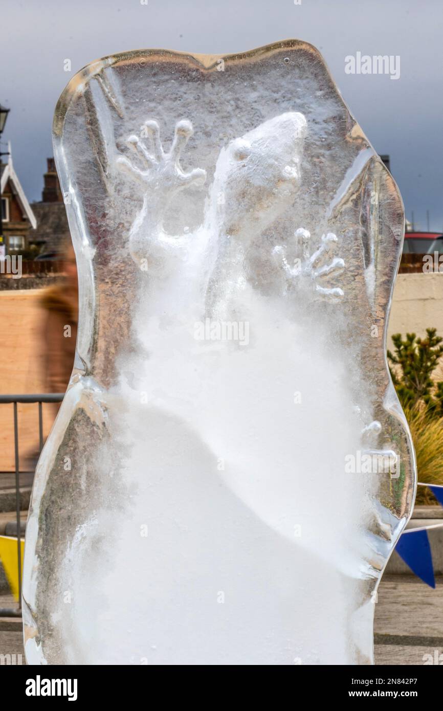 Lytham St. Annes, Lancashire. 11 Feb 2023 Ice sculpting festival. Marvellous ice sculptures at Lytham's lost concrete mussel tanks, Glacial Art Ice Sculptures carved animals, characters and mystical creatures & design out of huge blocks of ice. An event sponsored by the Government Shared Prosperity Fund  Credit; MediaWorldImages/AlamyLiveNews Stock Photo