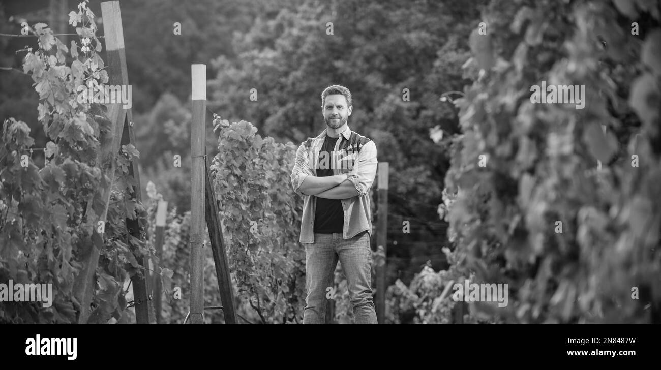 confident vinedresser standing at winery farm, vintner Stock Photo Alamy