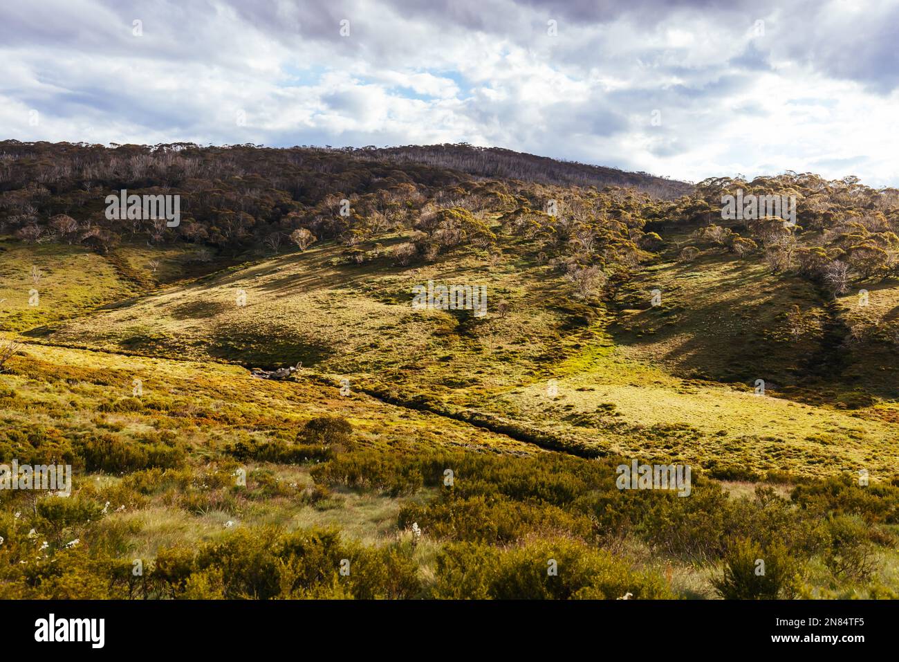 A landscape view in the late afternoon on the Cascade Hut Trail near Dead Horse Gap and Thredo in Kosciuszko National Park, New South Wales, Australia Stock Photo