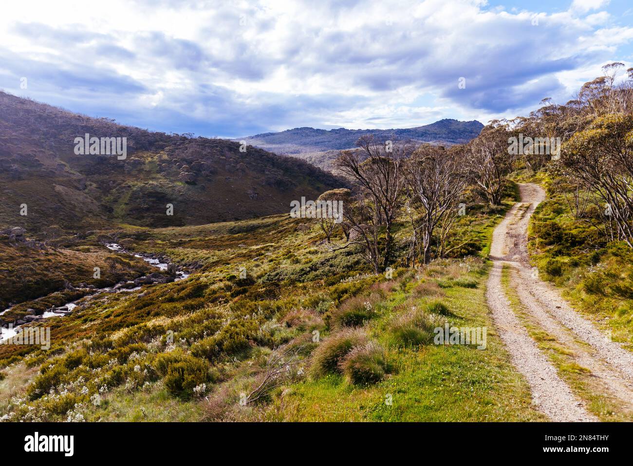 A landscape view in the late afternoon on the Cascade Hut Trail near Dead Horse Gap and Thredo in Kosciuszko National Park, New South Wales, Australia Stock Photo