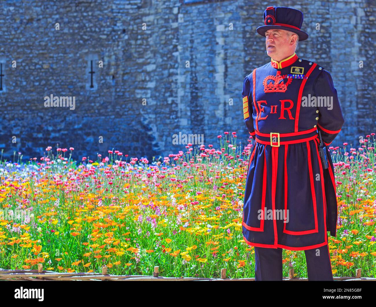 Super Bloom, Tower of London, June 2022.  A Yeoman of the Guard standing in front of the Tower of London, with the super bloom display. Stock Photo
