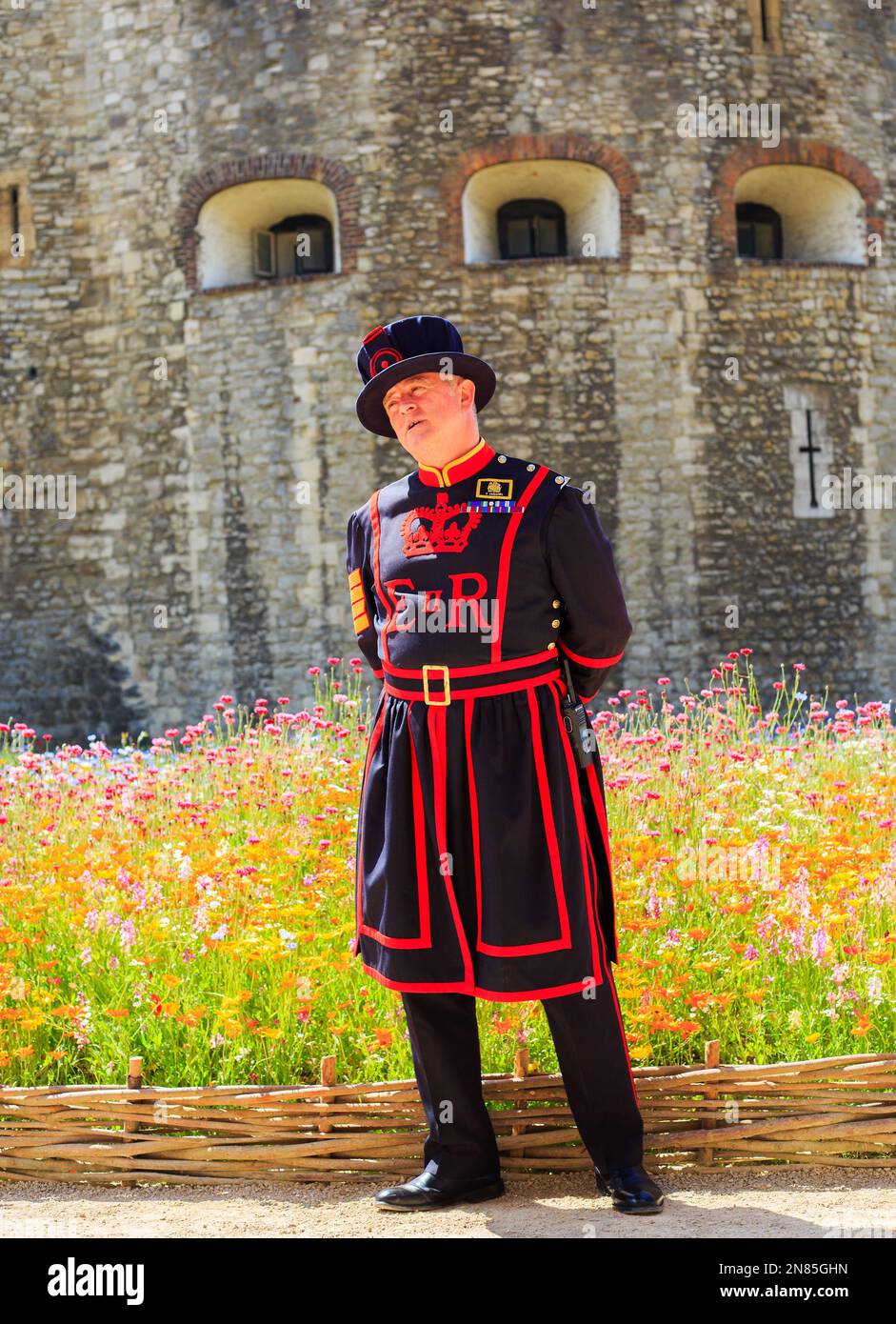 Tower of London, June 2022. 20 million wild flower seeds have been