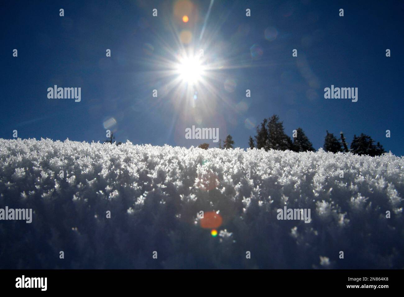 Sunlight is reflected off a snow covered field in Gulmarg, some 55  kilometers (34 miles) from Srinagar, India, Thursday, Feb. 7, 2013.  Gulmarg, which means meadow of flowers, was transformed into a