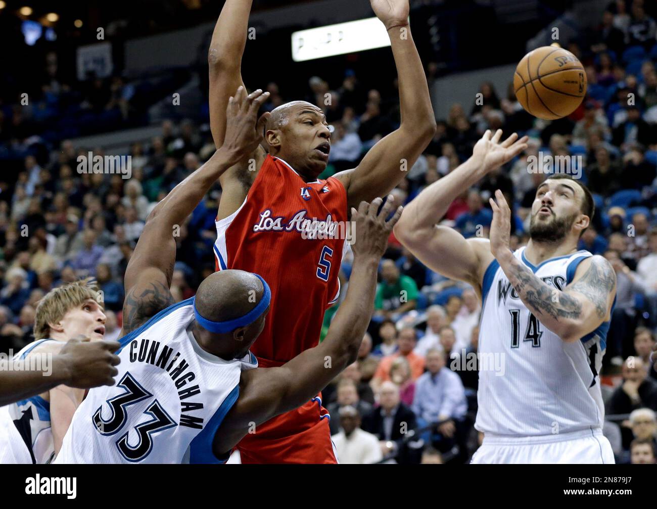dante-cunningham-timberwolves