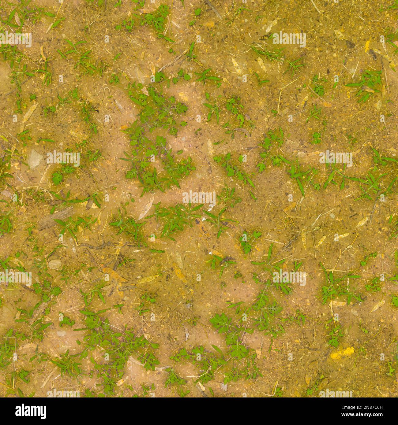 Texture grass and soil, seamless texture grass Stock Photo - Alamy