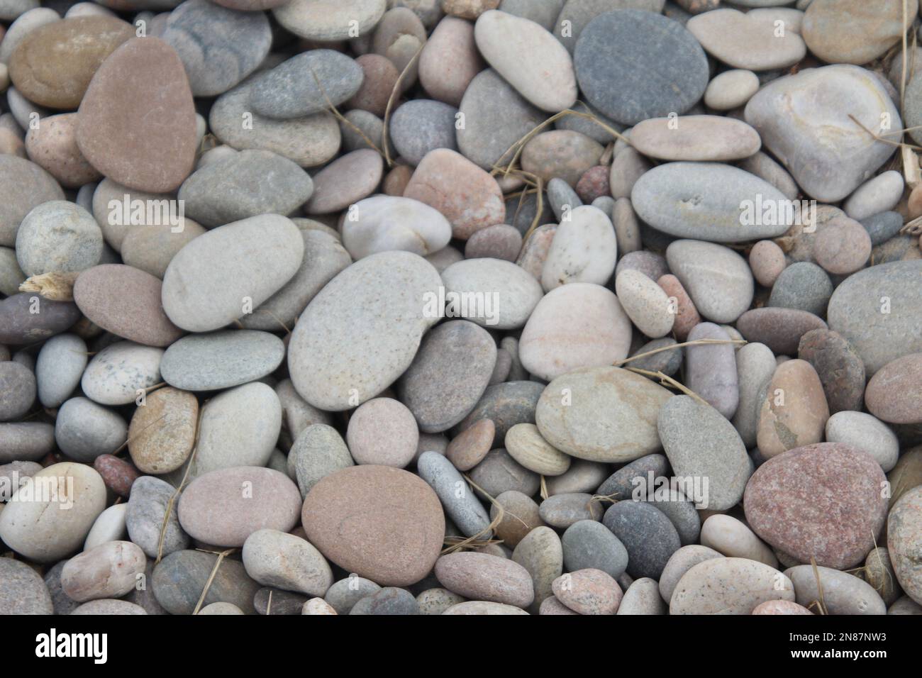 Smooth rocks on a beach Stock Photo - Alamy