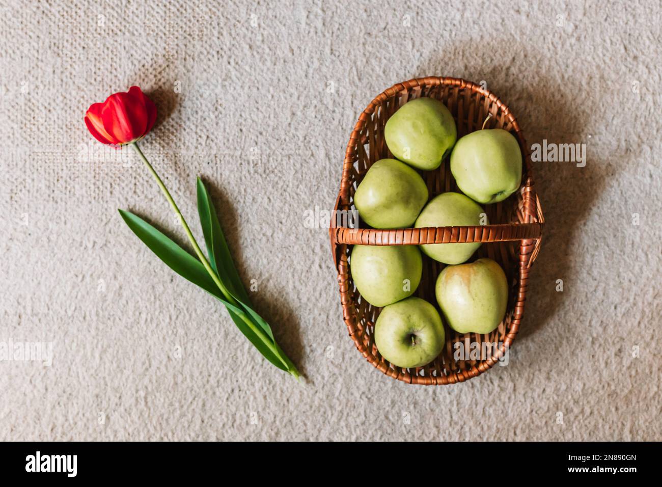 Fresh, green apples in the basket and one red tulip. Top view, spring
