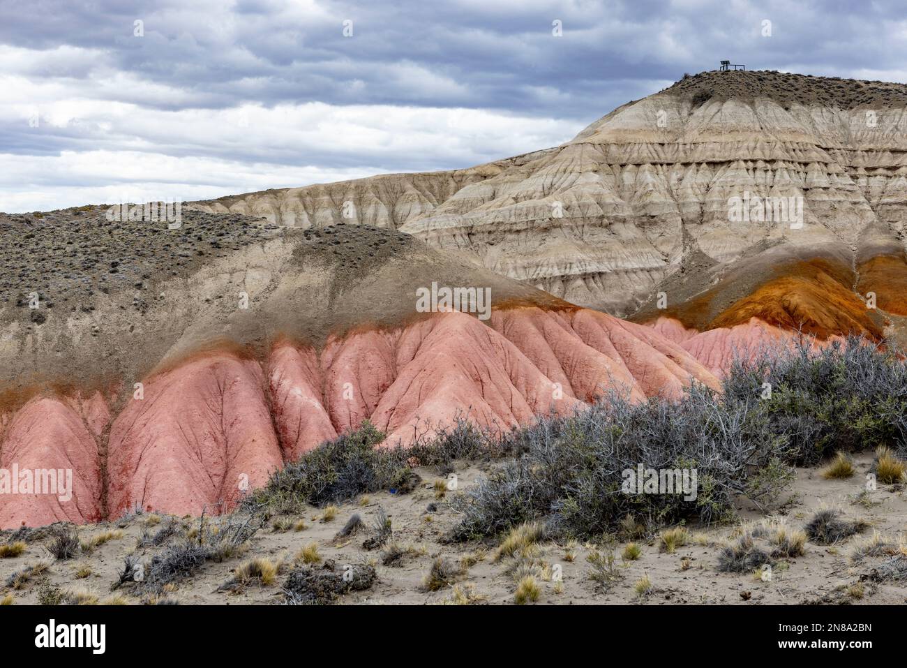 Golden de colores hi-res stock photography and images - Alamy