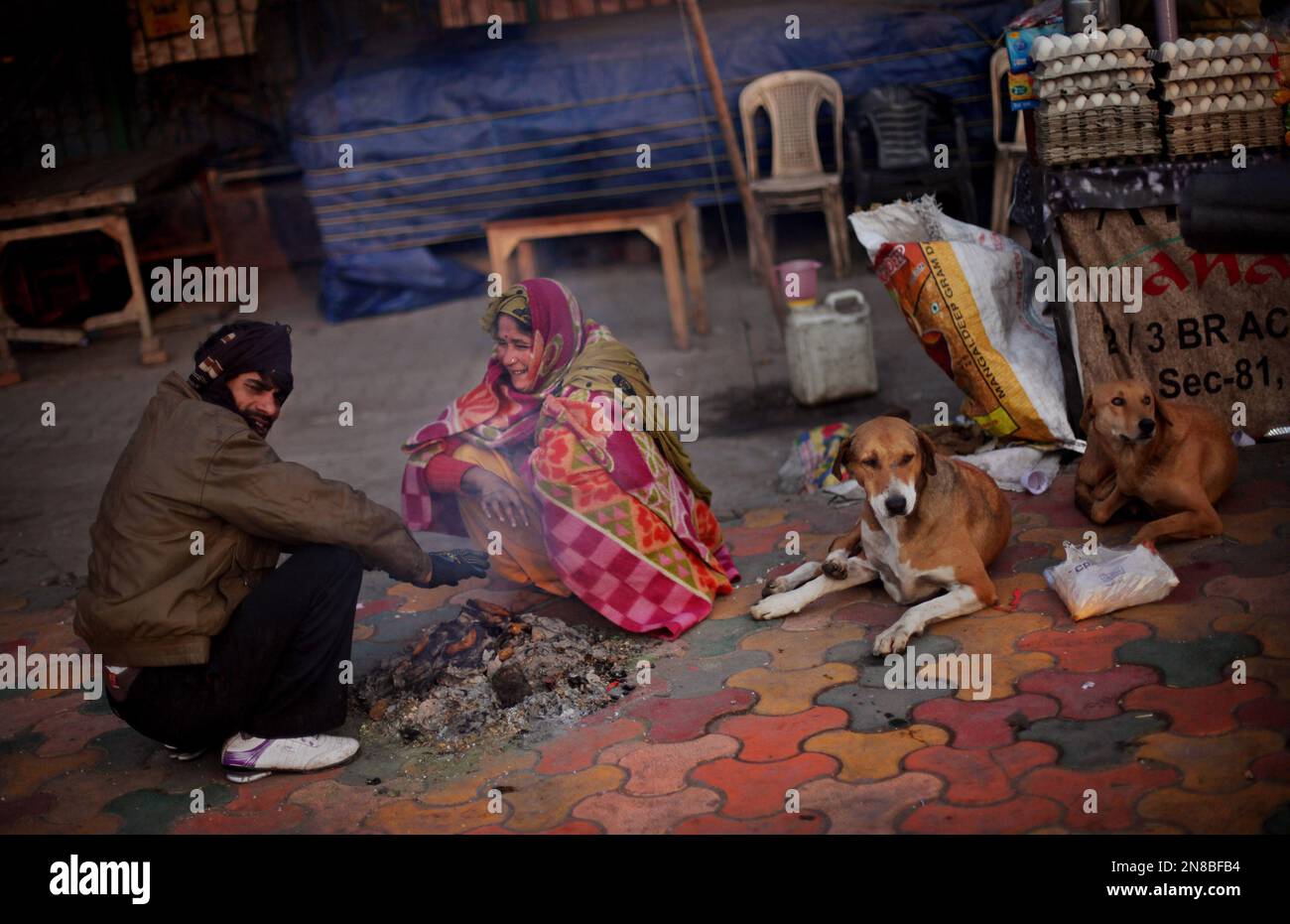 When Can Puppies Keep Themselves Warm